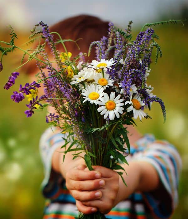 Little boy offering flowers