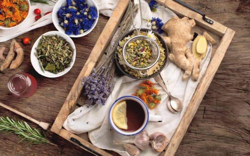 Traditional herbal medicines and teas